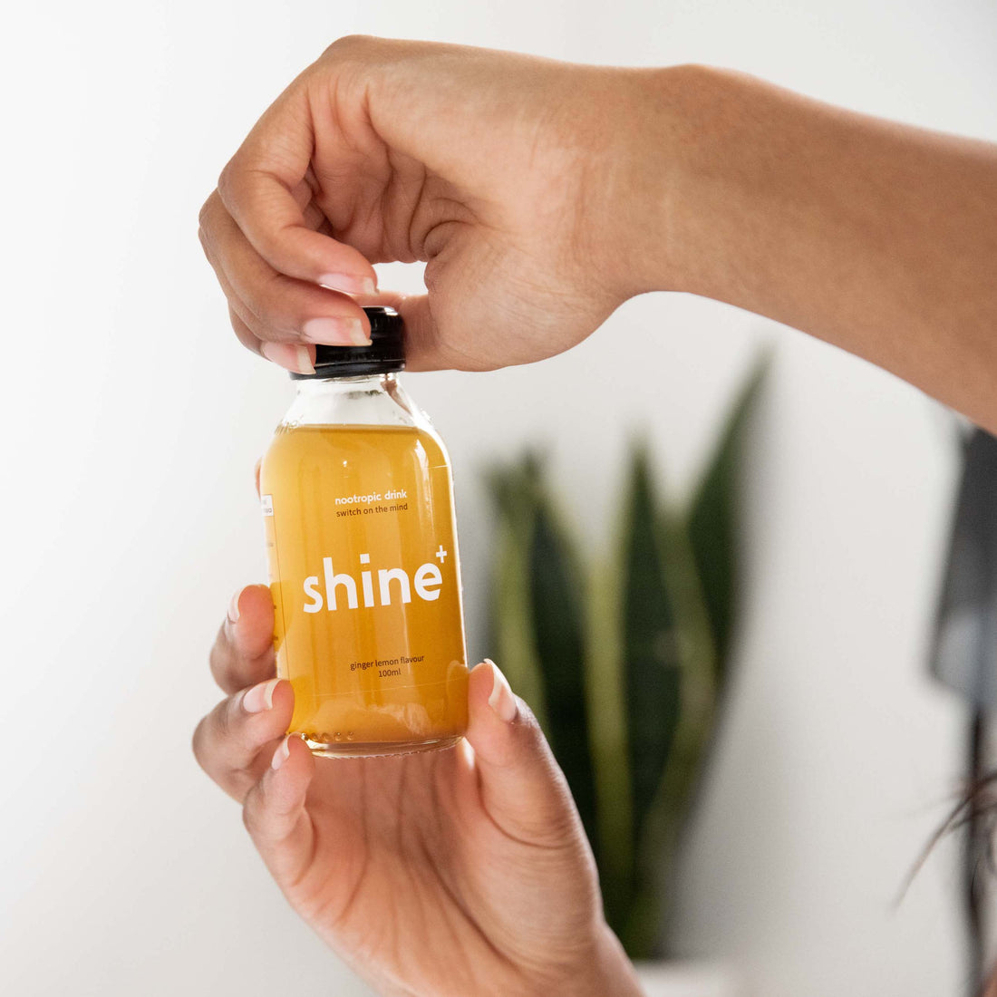 Nootropics 101 with Shine