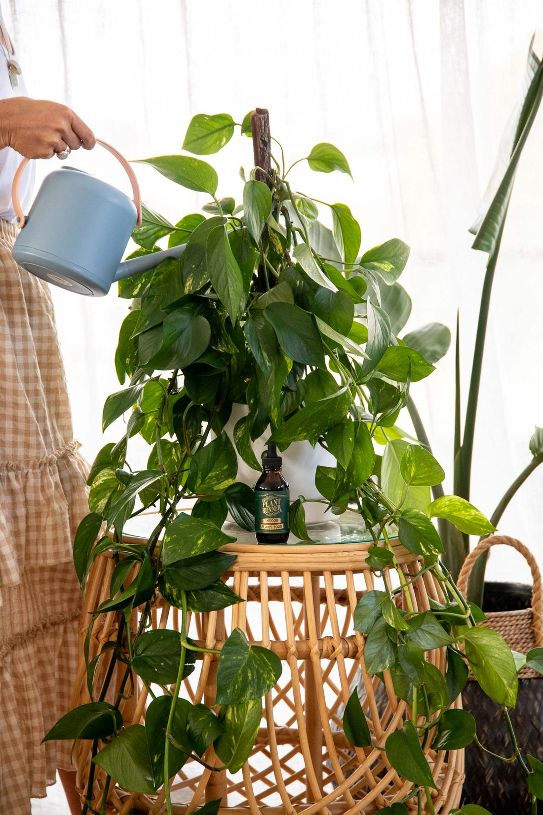 Plant Runner Indoor Plant Food