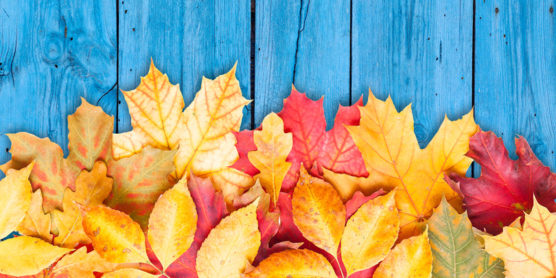 Our Top Tips To Prepare For The Change To Autumn