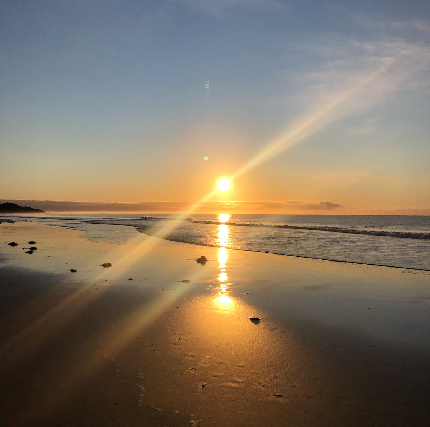 How I’m staying sane in quarantine…